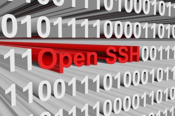 У OpenSSH 20 років ховався серйозний «баг»