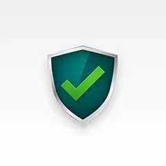 GoGetSSL® Wildcard SSL